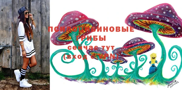 прущая мука Коряжма
