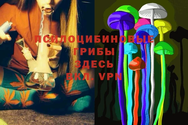 прущие крисы Костерёво