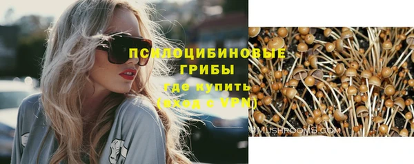 прущие крисы Костерёво