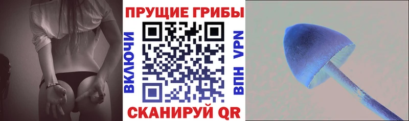 Псилоцибиновые грибы ЛСД Рязань